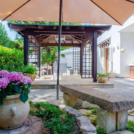 Baia - Summer ガリポリ